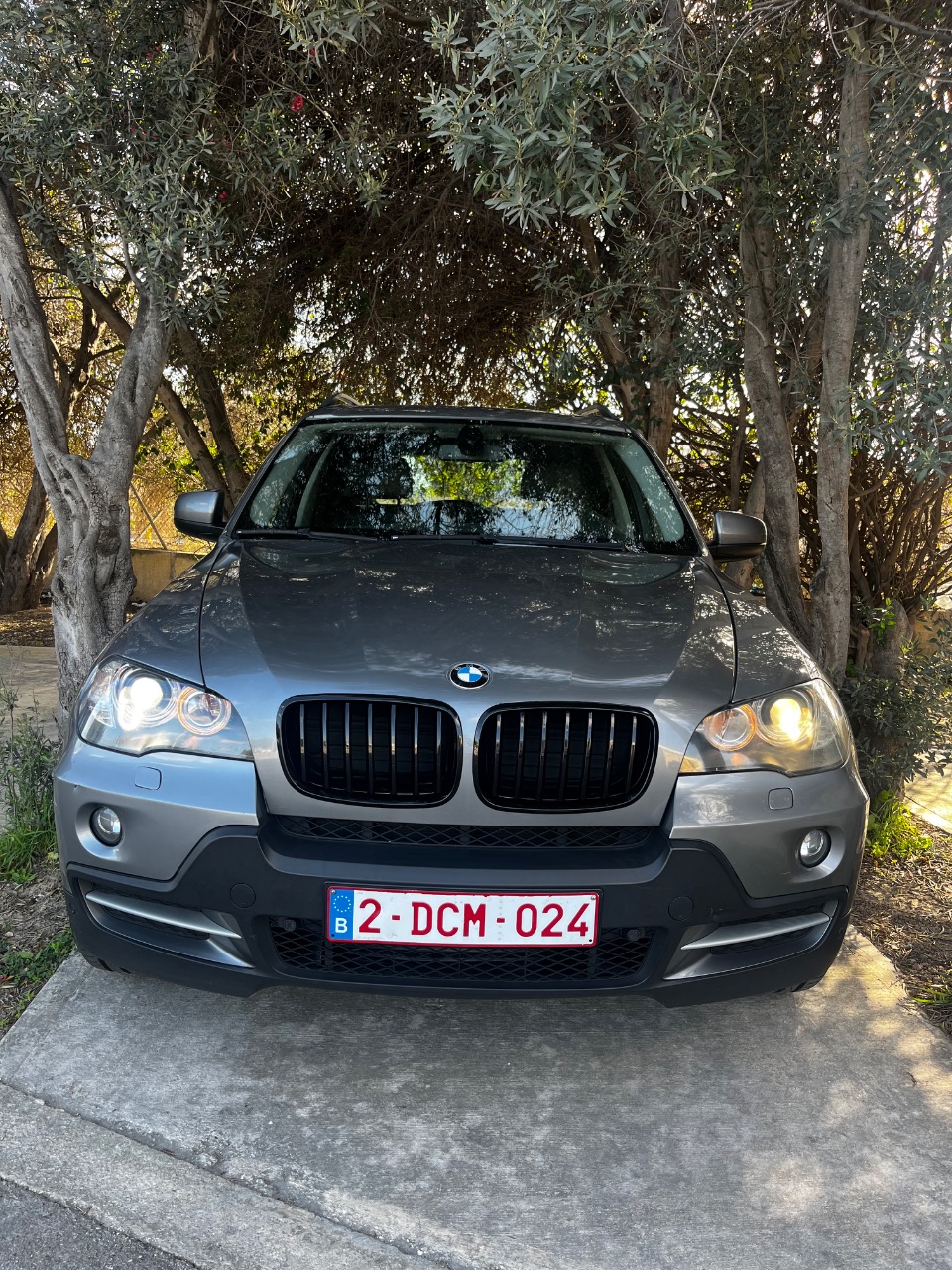 BMW X5 3.0sd — photo 6