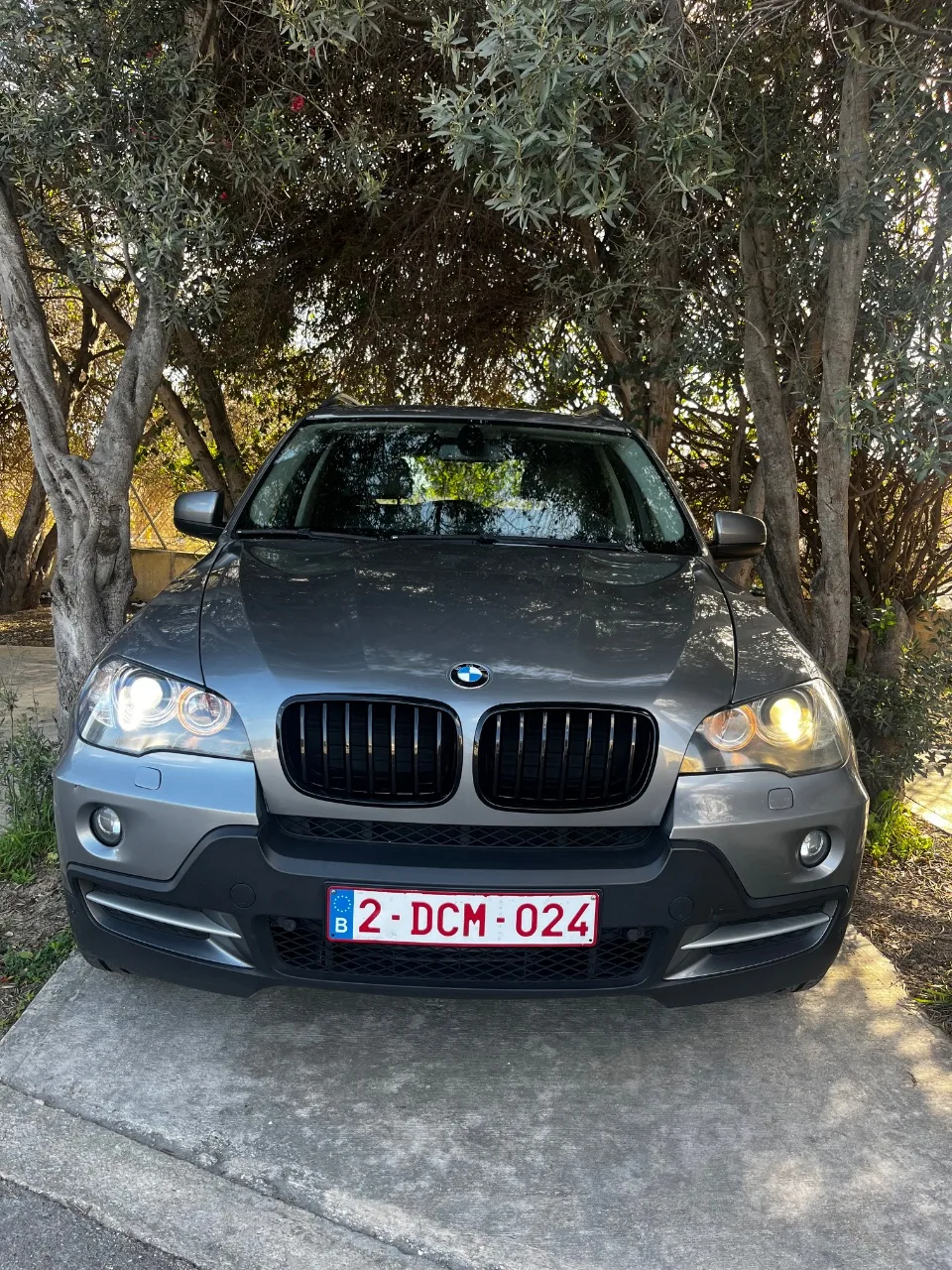 BMW X5 3.0sd — photo 6