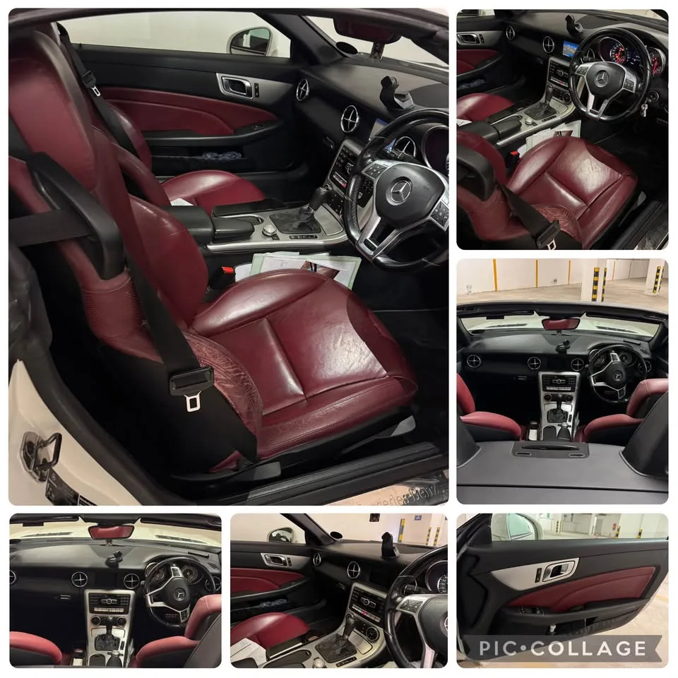 Mercedes-Benz slk 250 cdi automatic roadster (2013) — photo 8